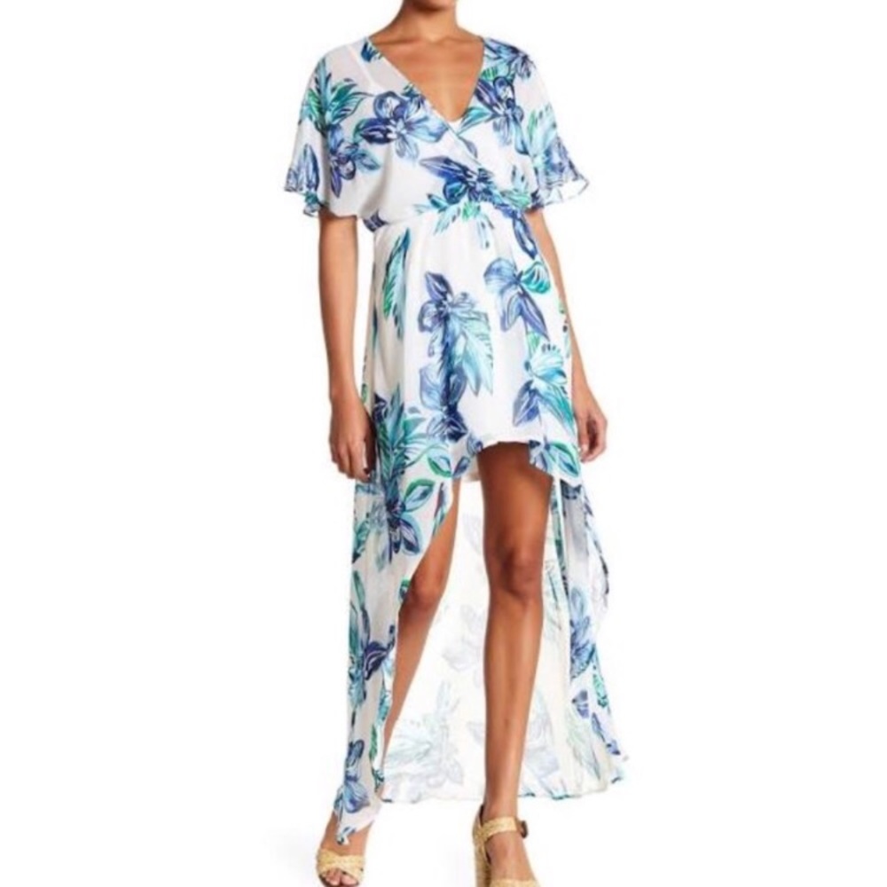 Lush Hi-Lo Sheer Dress